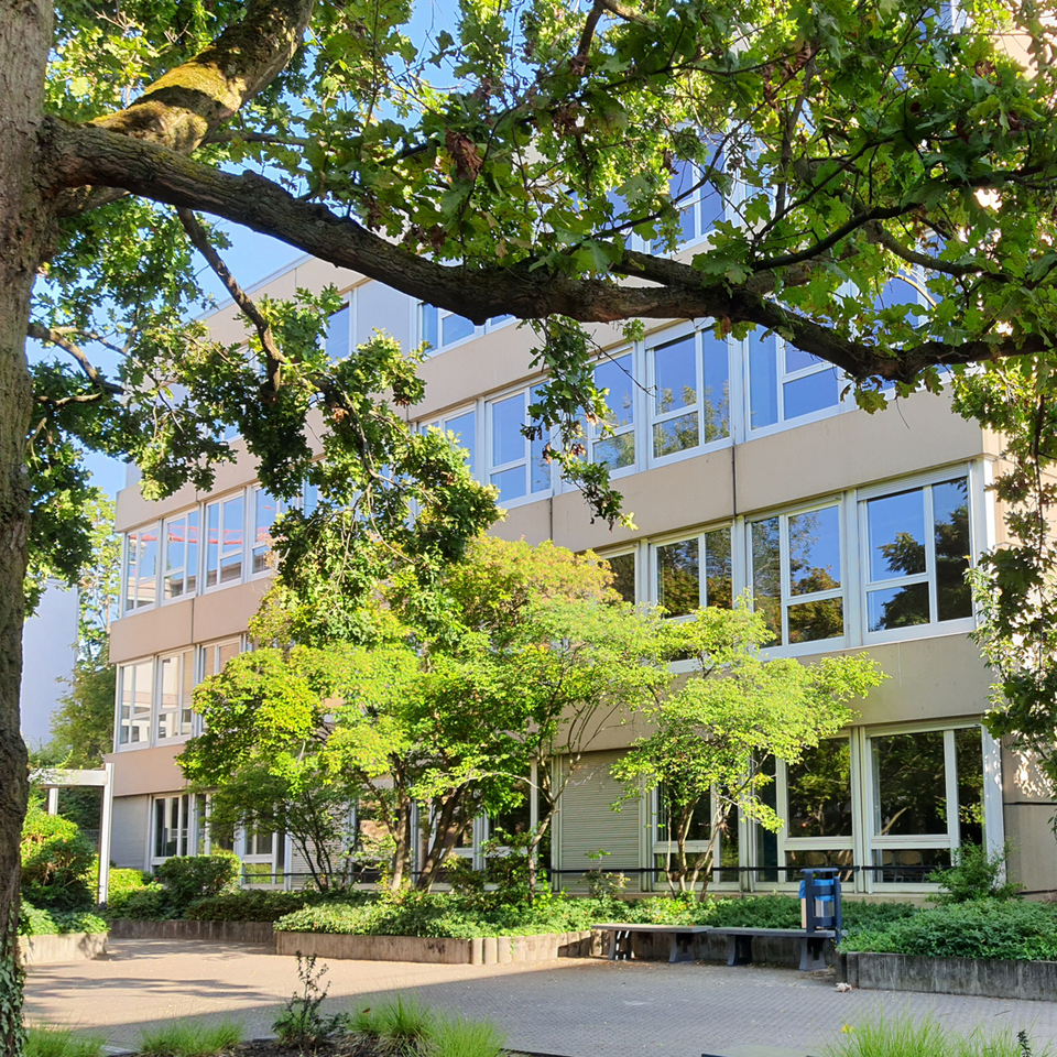 Abbildung: Albert-Einstein-Gymnasium in Frankenthal - Sanierung